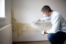 Best Mold Damage Restoration in Cordova, AK